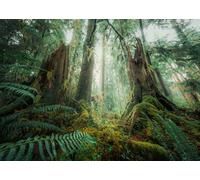 Ravensburger – Puzzle 1000 pièces – En forêt (Nature Edition) – Adultes & Enfants 14+