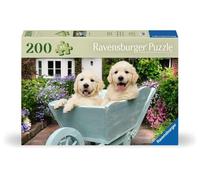 Ravensburger - Puzzle Adulte - 200 pièces - Bien être & Puzzle - Golden - Pièces