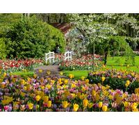 Ravensburger - Puzzle Adulte - Puzzle 1000 pièces - Jardins de Keukenhof, Pays-Bas (Puzzle Highlights) - Adultes et Enfants dès 14 Ans - Puzzle de qualité supérieure - Paysages & Nature - 12000851