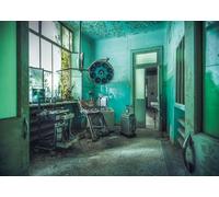 Ravensburger - Puzzle Adulte - Puzzle 1000 pièces - L'hôpital psychiatrique (Lost Places) - Adultes et Enfants à partir de 14 Ans - Puzzle de qualité supérieure - Lost Places - 12000177