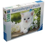 Puzzle Puzzle 1500 P - Chaton Blanc
