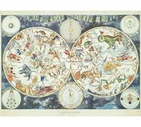 Ravensburger - Puzzle Adulte - Puzzle 1500 p - Mappemonde des Animaux fantastiques - 16003