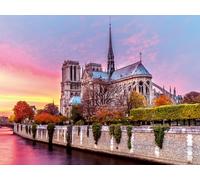 Puzzle 1500 pièces Pittoresque Notre-Dame