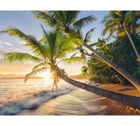 Ravensburger - Puzzle Adulte - Puzzle 1500 pièces - Plage secrète - Adultes et Enfants à partir de 14 Ans - Puzzle de qualité supérieure 80x60cm - Paysage & Nature - 12000693