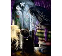 Puzzle 500 pièces : Chat noir et corbeau