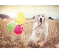 Ravensburger - Puzzle Adulte - Puzzle 500 pièces - Jour de fête - Adultes et Enfants à partir de 12 Ans - Puzzle de qualité supérieure - Animaux - 12000221