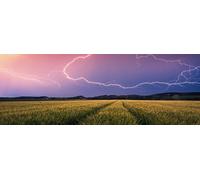 Ravensburger - Puzzle Adulte - Puzzle 500 pièces - Orage d'été (Nature Edition) - Adultes et Enfants à partir de 12 Ans - Puzzle de qualité supérieure - Paysage & Nature - 12000685