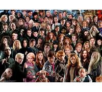 Ravensburger – Puzzle 1000 pièces Harry Potter (Challenge Puzzle) – Qualité supérieure – Dès 14 ans