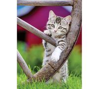 Ravensburger puzzle chats 2 x 500 pièces