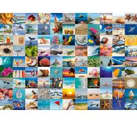 Ravensburger Puzzle de 1000 pièces pour Adultes - 16945 - Chaque pièce est Unique, Technologie Softclick Signifie Que Les pièces s'emboîtent Parfaitement