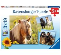 Ravensburger Puzzle enfant Adorables poneys 3x49 pièces Dès 5 ans 08011