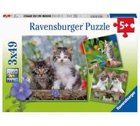 PUZZLE Puzzles 3x49 p - Chatons tigrés