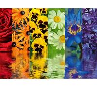 Ravensburger Puzzle Floral Reflections 500 pièces pour Adultes - 12000213 - Outil fabriqué à la Main, fabriqué en Allemagne, Chaque pièce s'assemble Parfaitement