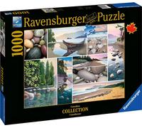 Ravensburger, puzzle Paysage et nature 1000 pièces Calme sur la côte ouest., Coloré