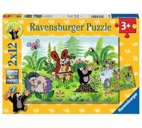 Ravensburger Puzzle pour Enfants - 05090 Garden Party with Friends - Puzzle pour Enfants à partir de 3 Ans, avec 2 x 12 pièces