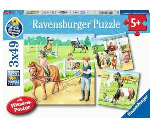 Ravensburger Puzzle pour Enfants - 05129 Une journée au Centre équestre - 3x49 pièces Pourquoi ? Pourquoi ? Pourquoi Puzzle pour Les Enfants de 5 Ans et Plus
