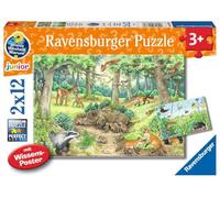 Ravensburger- Tiere enfants-05673-Animaux dans la forêt et dans la Prairie-2 x 12 pièces + Poster de Connaissances Weshalb Pourquoi Puzzle pour Enfants à partir de 3 Ans, 13308