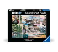 Ravensburger West Coast Tranquility 1000 pièces Puzzle pour Adultes - 12000631 - Outil fabriqué à la Main, fabriqué en Allemagne, Chaque pièce s'assemble Parfaitement