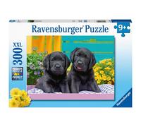 Ravensburger Zwarte Labradors, 300e.