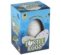 Ravensden Oeuf de Tortue en Croissance de