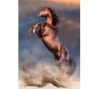 Ravissant puzzle de 500 pièces "Wild Red Stallion" de Clementoni - découvrez la magie de la nature sauvage dans chaque pièce ! Idéal pour les amateurs de chevaux et de défis !