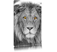 ravissante lion noir / blanc sur toile, énorme XXL photos complètement encadrée avec civière, impression d'art sur ??la photo murale avec cadre, moins cher que la peinture ou une peinture à l'huile, pas une affiche ou une bannière