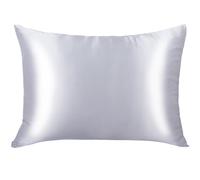 Ravmix Taie d'oreiller en Soie de mûrier 65x65 cm, Protege Oreiller 21 Momme Certifiée Oeko-TEX® Bienfaits Cheveux et Peau, avec Fermeture éclair cachée, 1 unité, Gris Argenté
