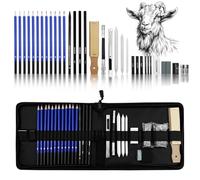 Ravytha Crayon Dessin Professionnel Kit, Crayons Fusain, avec du Charbon, Graphite, Outils et Gomme, Etui de Transport à Fermeture Eclair Plus Encore, pour Dessiner, Débutants, Ėtudiants et Artistes
