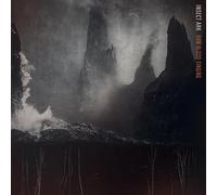 Insect Ark – Raw Blood Singing – CD Digipak – Édition limitée