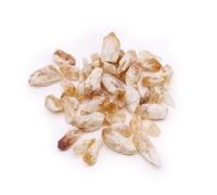 Raw Crystals (500g) - Citrine Rough Points
