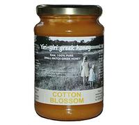 Raw miel grec 100% pur - fleur de coton 480 g - du village Larissa.