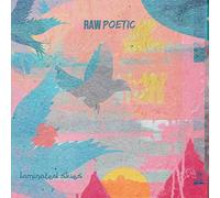 Raw Poetic & Damu the Fudgemunk - Laminated Skies [Import]