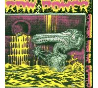 Raw Power - Screams from The Gutter/. [Import]
