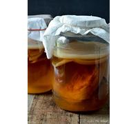 RawCultures® Scoby de Kombucha moyen certifié biologique avec démarreur liquide puissant testé en laboratoire par UKAS LAB (ALS Global)