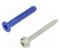 RAWLPLUG R-FFS-N-10K060 Plastic anchor