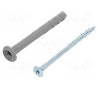 RAWLPLUG R-FX-N-06K060 Plastic anchor