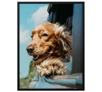 RAWWEST.BIS Cadre Photo 15x21 cm en Aluminium noir cadre decoration murale pour Affiche Poster Œuvre d'Art Photo Puzzle Verre Acrylique avec Filtre UV Fixation Verticale & Horizontale