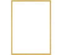 RAWWEST.BIS Cadre Photo 35x100 cm en Aluminium doré cadre decoration murale pour Affiche Poster Œuvre d'Art Photo Puzzle Verre Acrylique avec Filtre UV Fixation Verticale & Horizontale