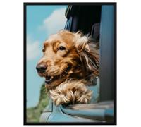 RAWWEST. adre Photo 70x100 cm en Aluminium noir cadre decoration murale pour Affiche Poster Œuvre d'Art Photo Puzzle Verre Acrylique avec Filtre UV Fixation Verticale & Horizontale