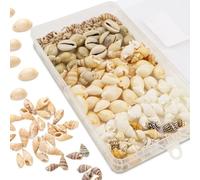 Raxfekro Lot de 120 coquillages décoratifs avec trou - 6 styles pour bricolage - Perles de coquillage naturel pour bijoux - Coquillages cauris à enfiler - 12 à 15 mm