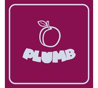 Ray Angry - Plumb