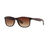 Ray-Ban Lunettes de soleil RB4202 Andy 607313 Injecté Marron Carré Ombré Homme