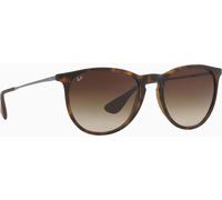 Ray Ban Ban Brown and Brown Lens Erika Sunglasses
