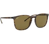 Ray Ban Ban Tortoiseshell Brown Sunglasses