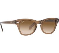 Ray Ban Ban Transparent Light Brown Transparent Sunglasses