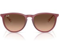Ray Ban de soleil Ray-Ban Erika phantos