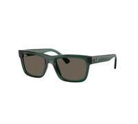 Ray - Ban Enfant Ray - Ban RJ9196S 7189/3 Lunettes de soleil Injecté Vert Marron Carré Normale