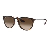 Ray - Ban Femme Ray - Ban RB4171 ERIKA 865/13 Lunettes de soleil Injecté Tortue Marron Pantos Normale