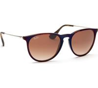 Ray-Ban Erika RB4171 631513 54