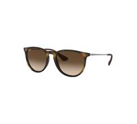Ray - Ban Femme Ray - Ban RB4171 ERIKA 865/13 Lunettes de soleil Injecté Tortue Marron Pantos Normale